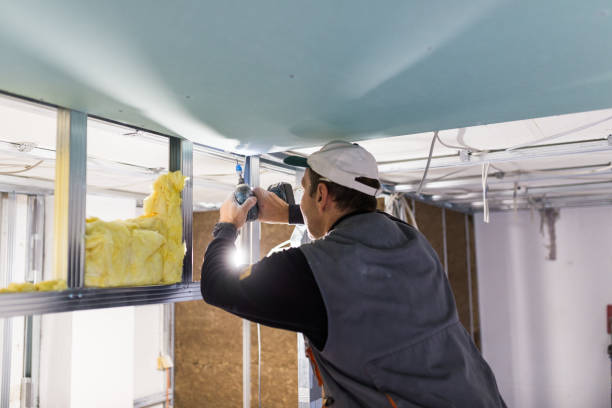 Best Residential Insulation in Ronan, MT
