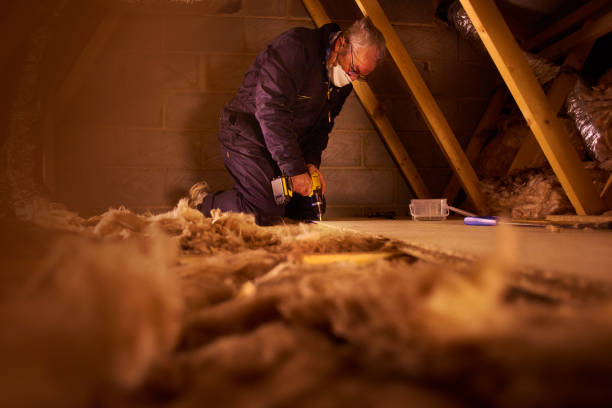 Best Eco-Friendly Insulation in Ronan, MT